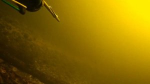 ЗИМНИЙ ПРОЗРАК НА ВОЛГЕ, ВОЛГОГРАД. Подводная охота, Февраль.