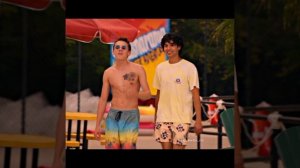 Ястреб Эдит