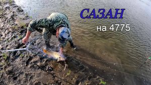 Поймал САЗАНА на 4775