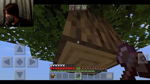 Как добыть дерево в Minecraft
