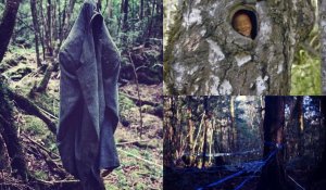 Лес самоубийц в Японии! Аокигахара (Дзюкай) – таинственное, безрадостное место.