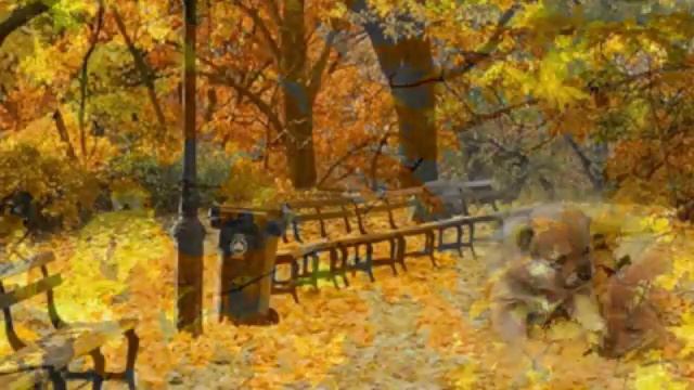 Проза в стихах Татьяна Спиридонова "Девушка растворившаяся в осенних листьях" смотреть онлайн