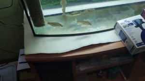 Продам аквариум Goldfish телевизор 120.