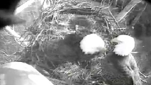 Gulp! Down the Hatch! смотреть онлайн