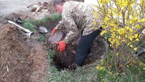 Как вручную выкорчевать пень. Корчевание пней.