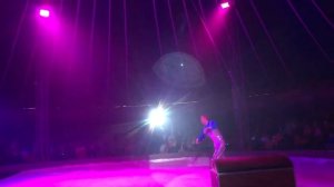 Цирк на льду в Уфе 5