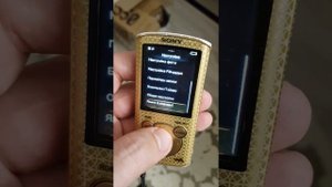 Sony NWZ-E463 4 Гб