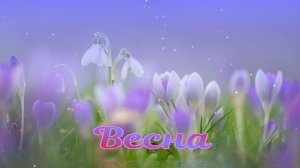 Футаж. Весна 22