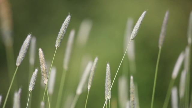 Она решила устроить свою судьбу самостоятельно, вопреки Слову Божьему. История из жизни. смотреть онлайн