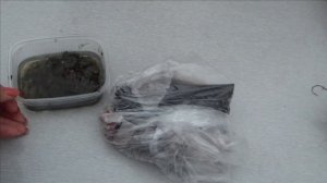 Мы впервые на рыбалке в Багаевке, новые знакомства и впечатления