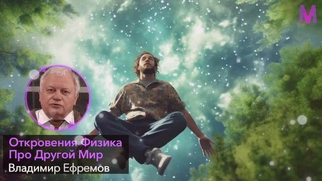 ЭТО НУЖНО УСЛЫШАТЬ... Ученый-Физик Владимир Ефремов про Путешествие в Другой Мир смотреть онлайн