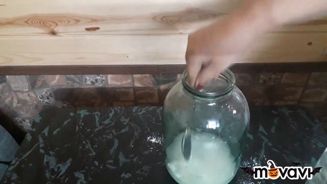Чем глистогонить цыплят, кур. Профилактика  глистов птицы.