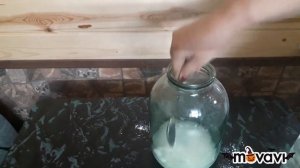 Чем глистогонить цыплят, кур. Профилактика  глистов птицы.