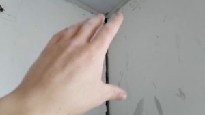 Почему появляется грибок и плесень в углах. Заделка панельных швов. Как заделать панельный шов.