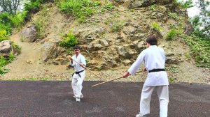 Работа с дзё. Отбив цки в нижний уровень: Дзё Гедан цки но Хараи.