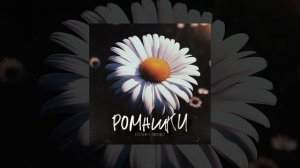 Полина Левченко — Ромашки 🌼