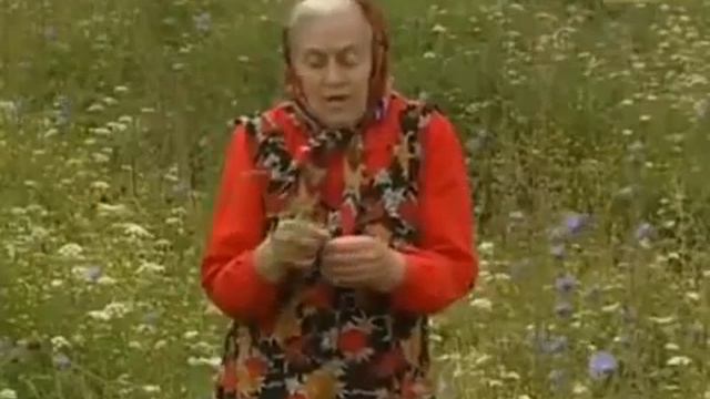 Лечебные травы