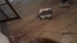 Роман Дроздов покраска пола