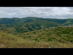 Питер на связи