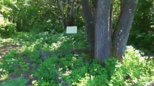 Кропотово-Лермонтово.