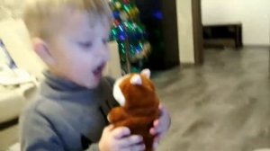 Steep Dance. Talking Hamster. Prikol. Говорящий хомяк пытается сказать. Прикол над хомяком.