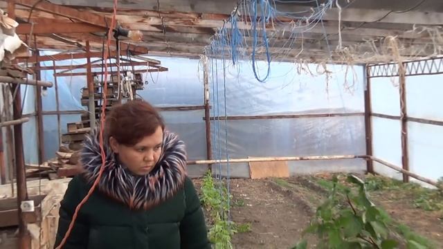 БУДЕТ ЦВЕТНИК / КУПИЛИ ПЛИТКУ / Я ТОЛКОМ НЕ ПОНЯЛ / Я ТРУС / ТАМ ТЕПЛО смотреть онлайн