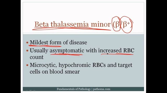 Pathoma USMLE - V ГЛАВА - 8.Микроцитарная анемия 3/3