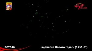 РС7040 Удачного Нового года!