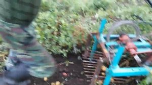 Картофелекопалка виброционная своими руками.