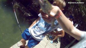 Форелевая рыбалка в Турции подарила бесценный опыт, в понимании поведении рыбы...