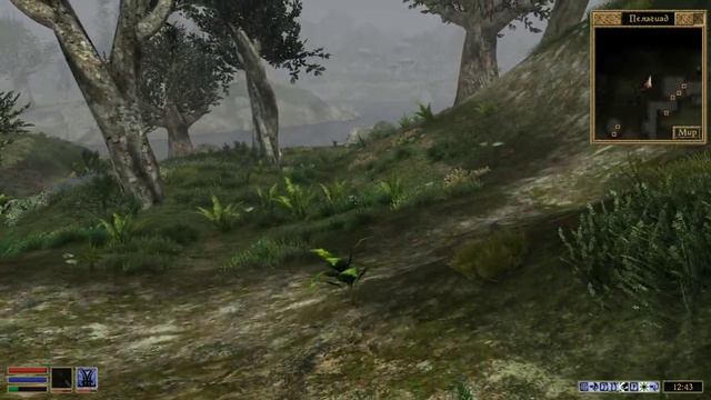 The Elder Scrolls III: Morrowind - #21 Подводные приключения