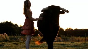 Une femme décide de rentrer dans un champs avec un taureau de corrida