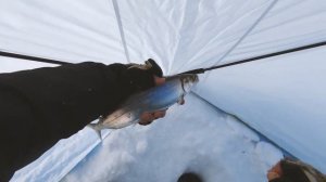 Зимняя рыбалка на байкальского омуля. Поклевки только на руку.