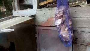 Можно ли кроликам хлеб