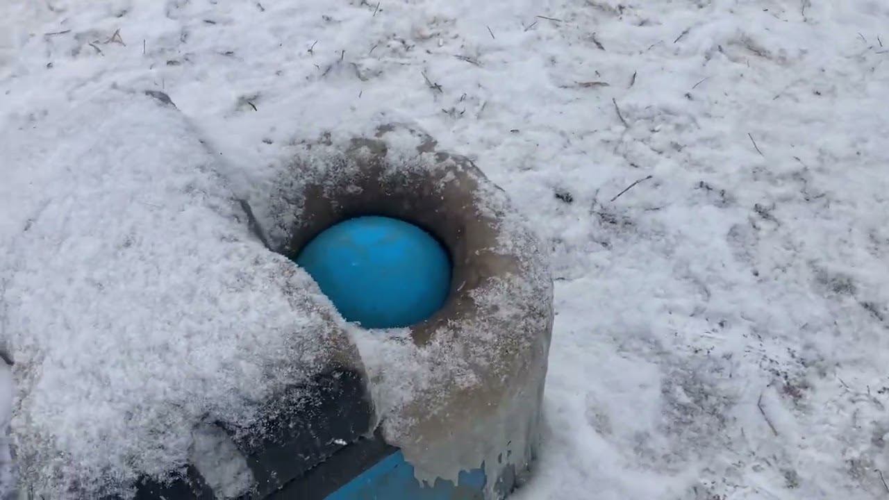 Содержание сухостоя и нетелей в нашем хозяйстве