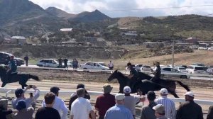 Бега рысаков и иноходцев.