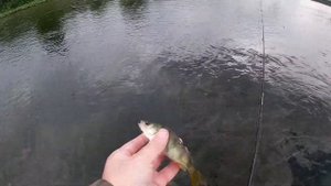 Красивая рыбалка в Мысках. Природа СКАЗКА!