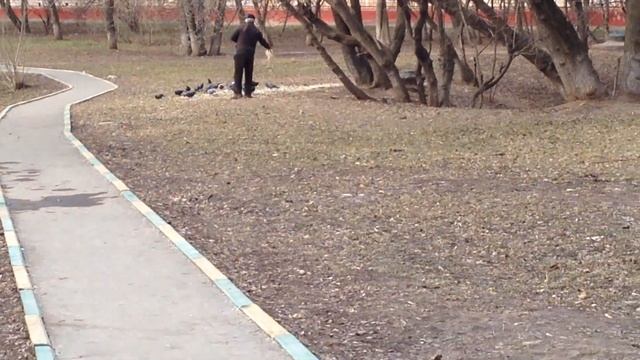 Кантемировская-Весна пришла. КОРМЛЕНИЕ ПТИЧЕК. смотреть онлайн