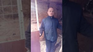 Микоплазмоз у кур//куры чихают//лечение без антибиотиков.