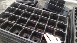 Кассеты для выращивания рассады.