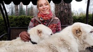 Ответы на вопросы владельцев САО. выпуск 8