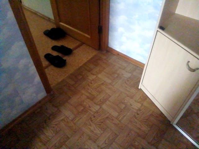 В доме появился ...эмм... новый питомец) смотреть онлайн