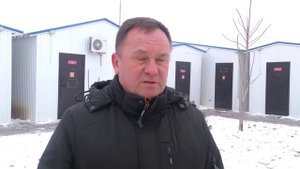 Около 600 бездомных собак отловили в Астрахани с начала 2024 года