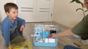 Как ухаживать за хомяком, чтоб не было запаха / джунгарский хомяк