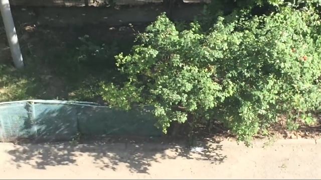 День уборки и что я сделала из старого зонтика :-) (06.05.18) смотреть онлайн