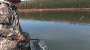 Ловля окуня в бревнах на р.Ангара. Отличная рыбалка.Иркутск