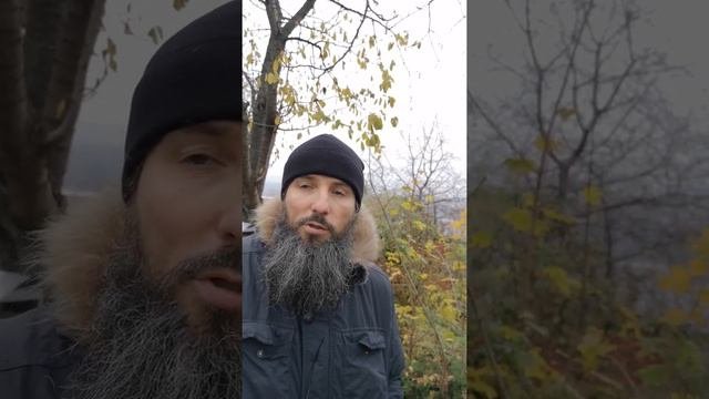 Чем отличается православие от всего остального