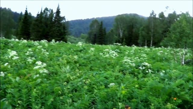 Часть 2. Восхождение на гору "Х" (Кузнецкий Алатау, тайга, тундра, горное озеро, горы, туризм) смотреть онлайн