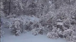 «Отрывок из поэмы Мороз, Красный нос» Н. А. Некрасова