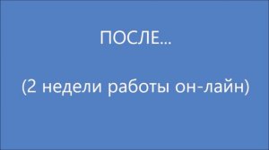 Социализация собаки из приюта.